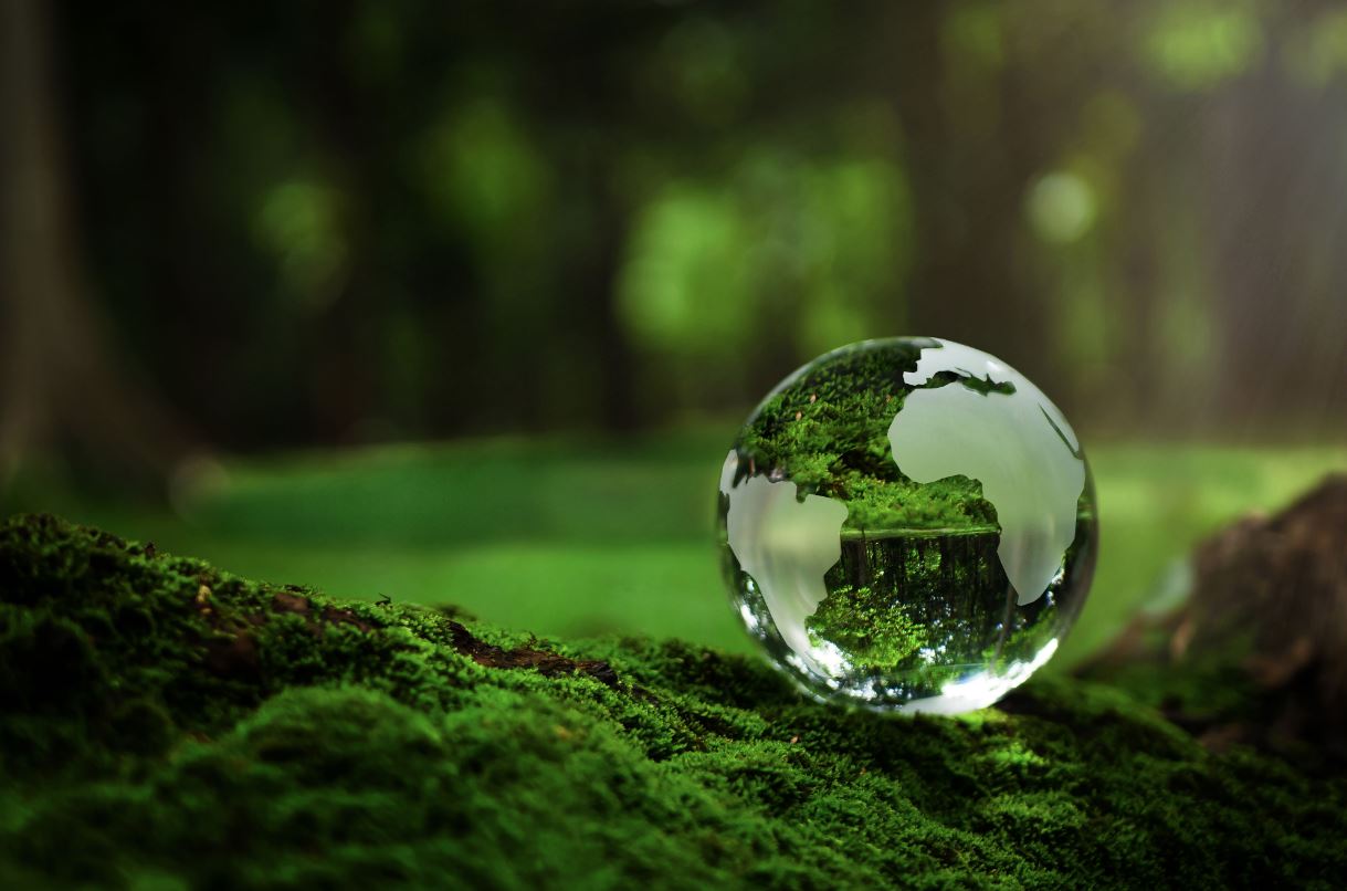 Climate Change and Global Sustainability