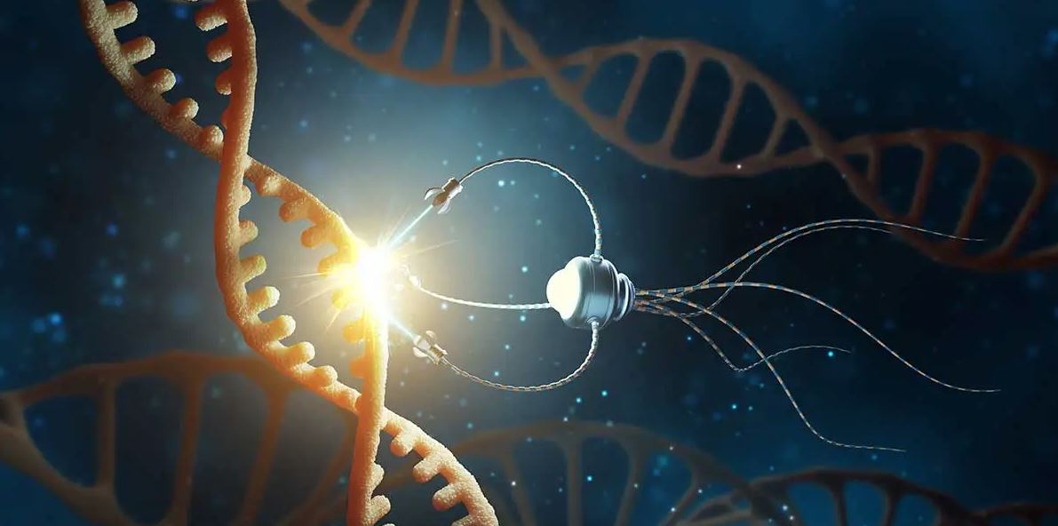 Nanotechnology in Modern Medicine